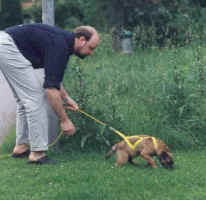 Peter and Maja practise blood-tracking