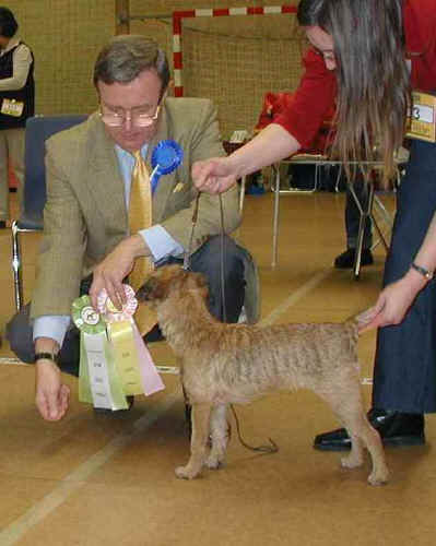 Silla BIR-valp för Ronnie Irving, Terrierderbyt 2002
